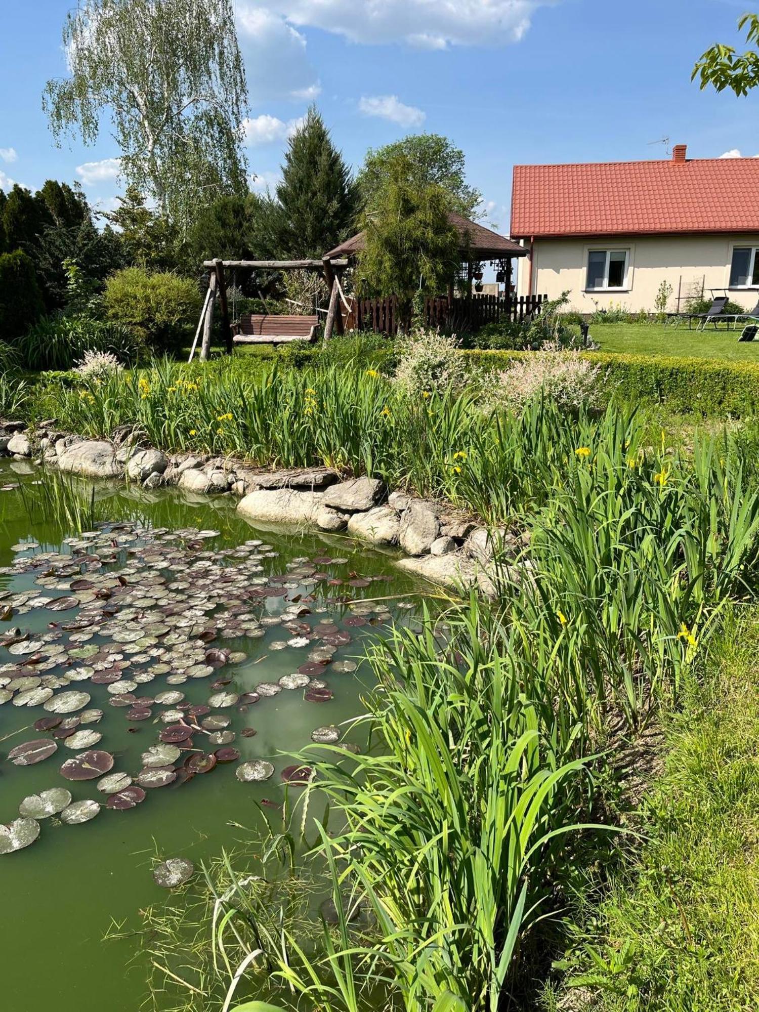Agroturystyka Smulsko Przykona المظهر الخارجي الصورة